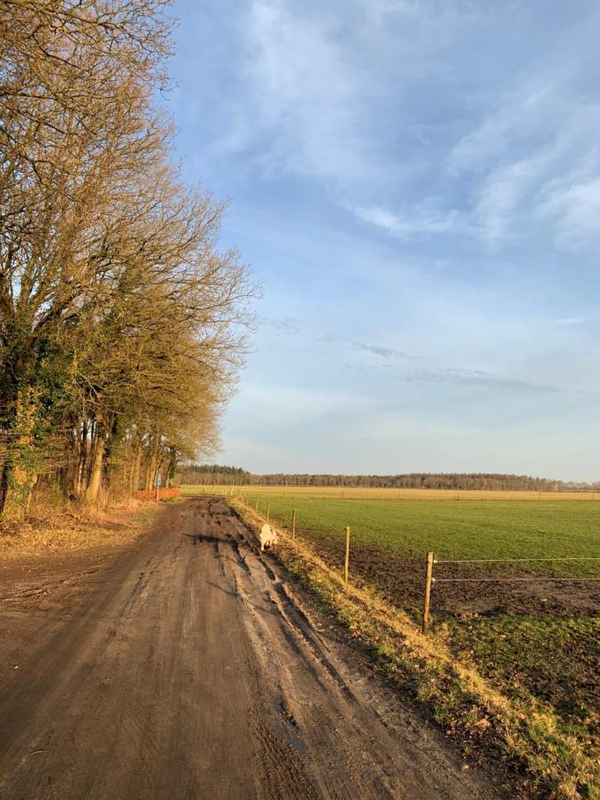 'T Holten Huus - Puur Genieten In Het Bos. Norg エクステリア 写真