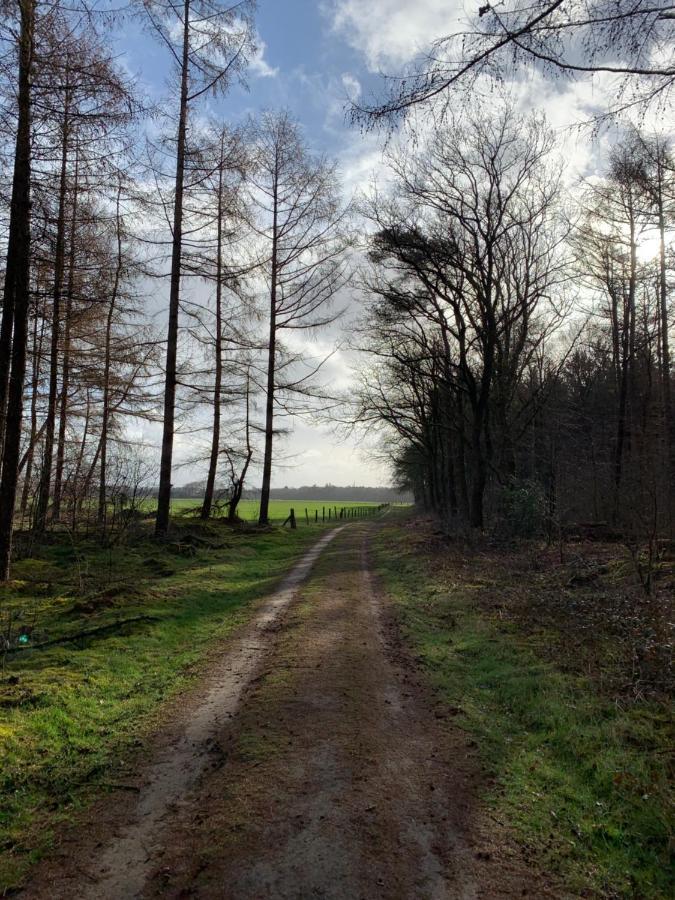 'T Holten Huus - Puur Genieten In Het Bos. Norg エクステリア 写真