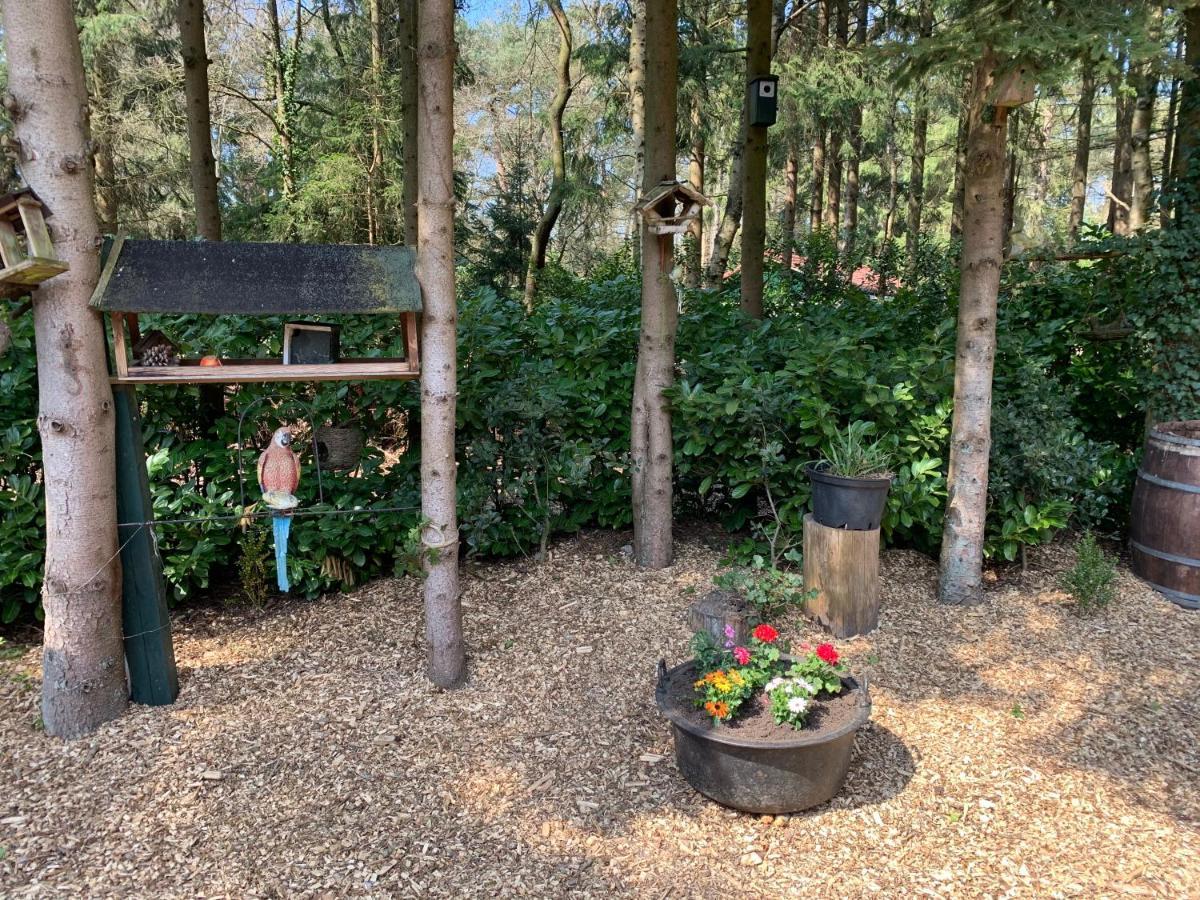 'T Holten Huus - Puur Genieten In Het Bos. Norg エクステリア 写真