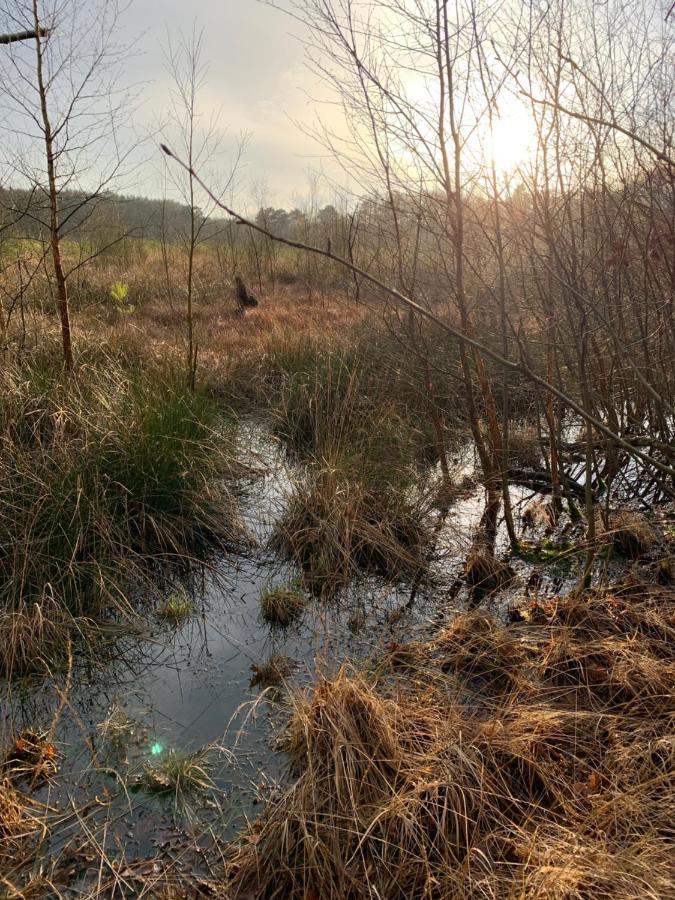 'T Holten Huus - Puur Genieten In Het Bos. Norg エクステリア 写真